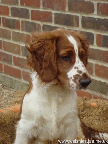 2009-06 13L.JPG